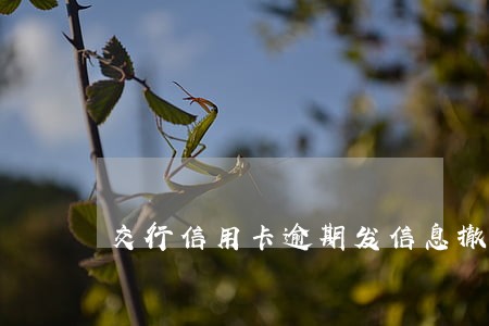 交行信用卡逾期发信息撤案 交行信用卡逾期发信息撤案