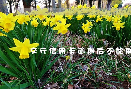 交行信用卡逾期后不能刷