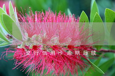 交行信用卡逾期后续 交行信用卡逾期后续
