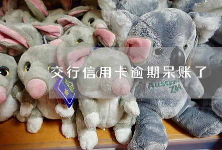 交行信用卡逾期呆账了