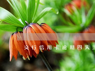 交行信用卡逾期四天没有上传征信 交行信用卡逾期四天没有上传征信