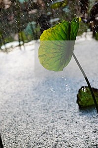交行信用卡逾期在哪查 交行信用卡逾期在哪查
