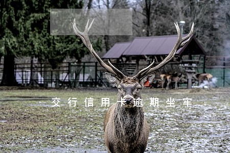 交行信用卡逾期坐牢 交行信用卡逾期坐牢
