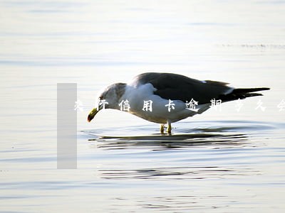 交行信用卡逾期多久会打电话 交行信用卡逾期多久会打电话
