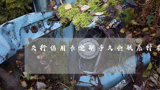 交行信用卡逾期多久会联系村委会 交行信用卡逾期多久会联系村委会
