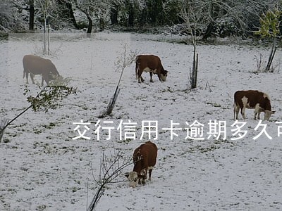 交行信用卡逾期多久可以协商