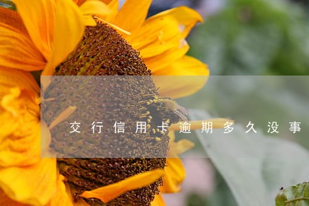 交行信用卡逾期多久没事 交行信用卡逾期多久没事