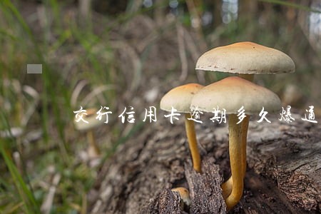 交行信用卡逾期多久爆通讯录 交行信用卡逾期多久爆通讯录