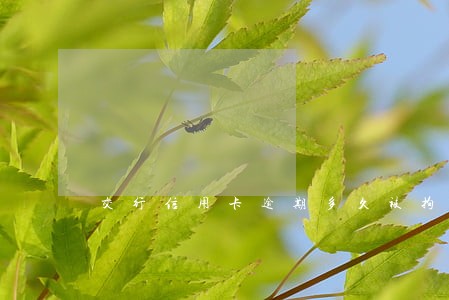 交行信用卡逾期多久被拘留