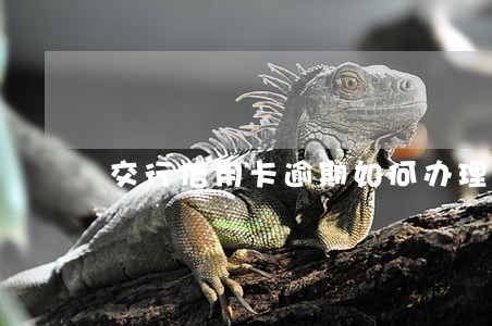 交行信用卡逾期如何办理停息分期 交行信用卡逾期如何办理停息分期