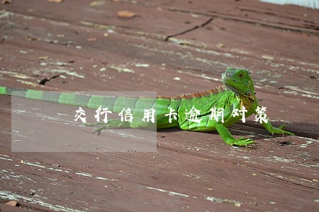 交行信用卡逾期对策 交行信用卡逾期对策