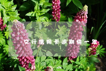 交行信用卡逾期快一年 交行信用卡逾期快一年