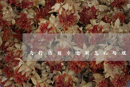 交行信用卡逾期怎么处理 交行信用卡逾期怎么处理
