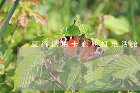 交行信用卡逾期打电话给我朋友 交行信用卡逾期打电话给我朋友