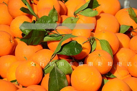 交行信用卡逾期拒接电话 交行信用卡逾期拒接电话