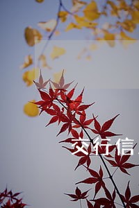 交行信用卡逾期收到上门信封 交行信用卡逾期收到上门信封