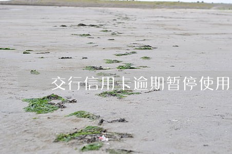 交行信用卡逾期暂停使用 交行信用卡逾期暂停使用