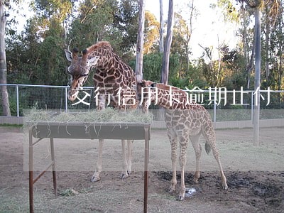 交行信用卡逾期止付 交行信用卡逾期止付