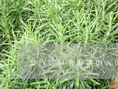 交行信用卡逾期申诉可以吗