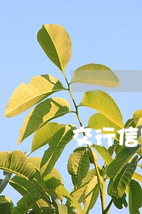 交行信用卡逾期申请信用卡 交行信用卡逾期申请信用卡