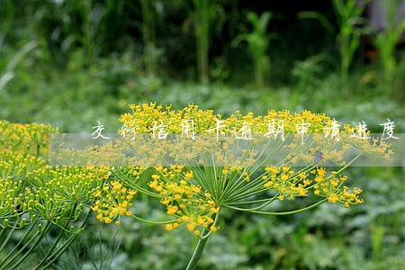 交行信用卡逾期申请进度 交行信用卡逾期申请进度