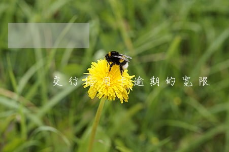 交行信用卡逾期的宽限