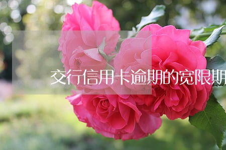 交行信用卡逾期的宽限期 交行信用卡逾期的宽限期