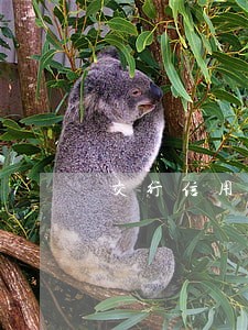 交行信用卡逾期第三方要上门 交行信用卡逾期第三方要上门