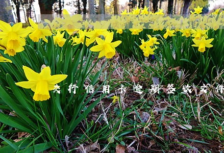 交行信用卡逾期签收文件 交行信用卡逾期签收文件