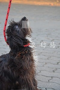 交行信用卡逾期翻一倍 交行信用卡逾期翻一倍