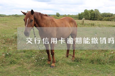 交行信用卡逾期能撤销吗 交行信用卡逾期能撤销吗