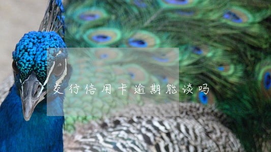 交行信用卡逾期能谈吗 交行信用卡逾期能谈吗