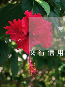 交行信用卡逾期被执行 交行信用卡逾期被执行