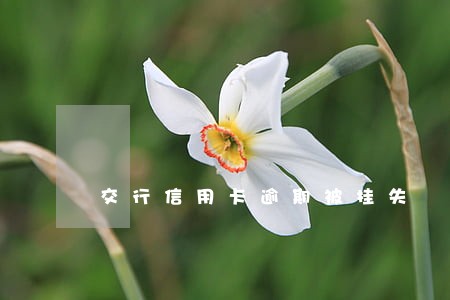 交行信用卡逾期被挂失 交行信用卡逾期被挂失