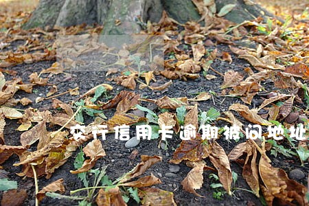 交行信用卡逾期被问地址 交行信用卡逾期被问地址
