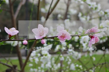 交行信用卡逾期让我去银行签字 交行信用卡逾期让我去银行签字