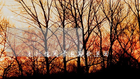交行信用卡逾期费退回 交行信用卡逾期费退回