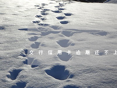 交行信用卡逾期还不上怎么办 交行信用卡逾期还不上怎么办