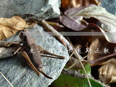 交行信用卡逾期还款后 交行信用卡逾期还款后