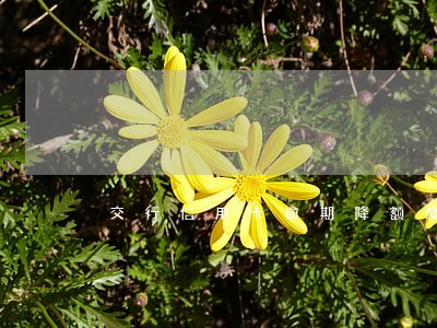 交行信用卡逾期降额度怎么办 交行信用卡逾期降额度怎么办