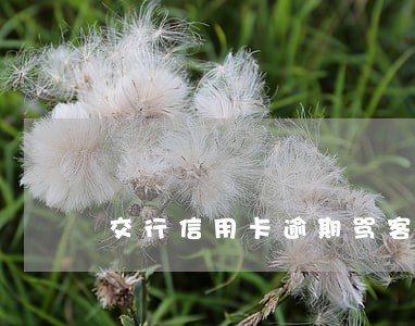 交行信用卡逾期骂客服 交行信用卡逾期骂客服