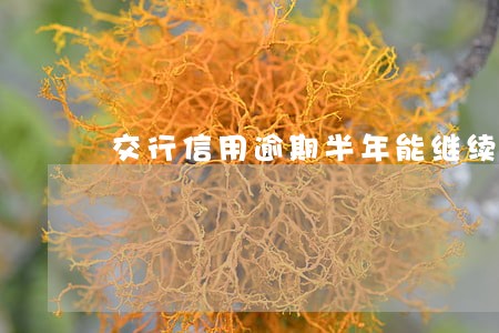 交行信用逾期半年能继续使用吗 交行信用逾期半年能继续使用吗