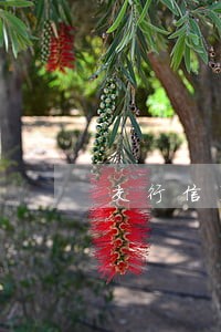 交行信用逾期每月还500 交行信用逾期每月还500
