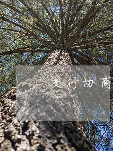 交行协商还款只还本金 交行协商还款只还本金