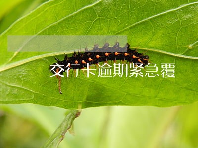 交行卡逾期紧急覆