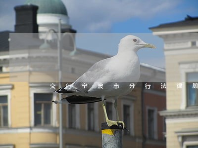 交行宁波市分行法律顾问 交行宁波市分行法律顾问