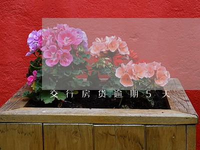 交行房贷逾期5天 交行房贷逾期5天