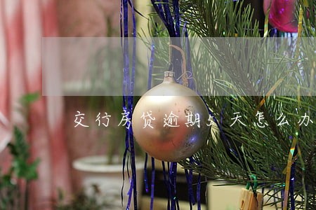 交行房贷逾期5天怎么办