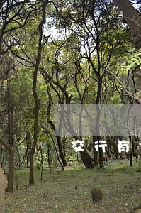 交行有3次逾期记录 交行有3次逾期记录