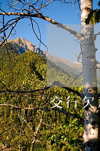 交行欠款10万逾期半年 交行欠款10万逾期半年